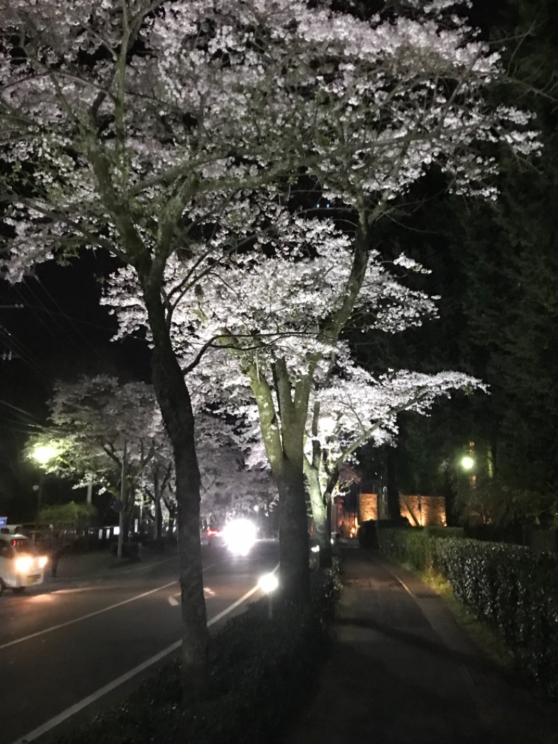 r411キャロルター坊さんの天然温泉 富士桜の湯 ドーミーインEXPRESS富士山御殿場のサ活写真