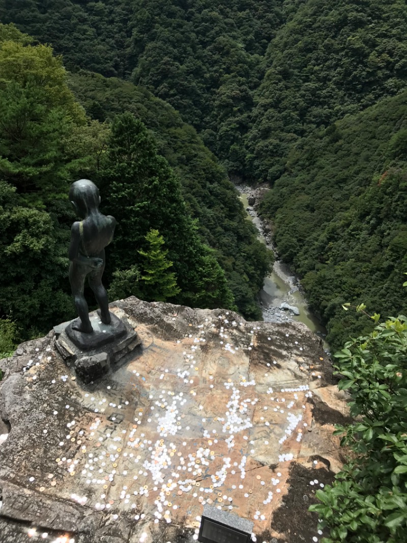 r411キャロルター坊さんの鳴門天然温泉 あらたえの湯のサ活写真