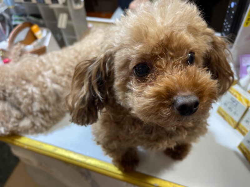 sunny☀️さんのクアパレスのサ活写真