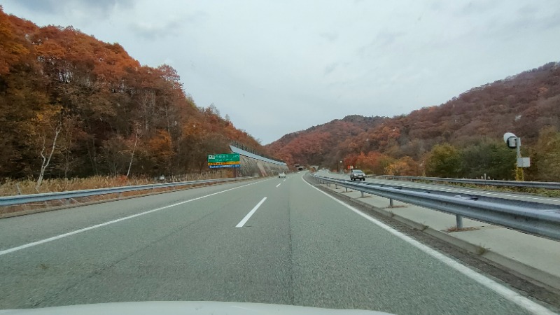 れもん水さんのスパ・アルプスのサ活写真