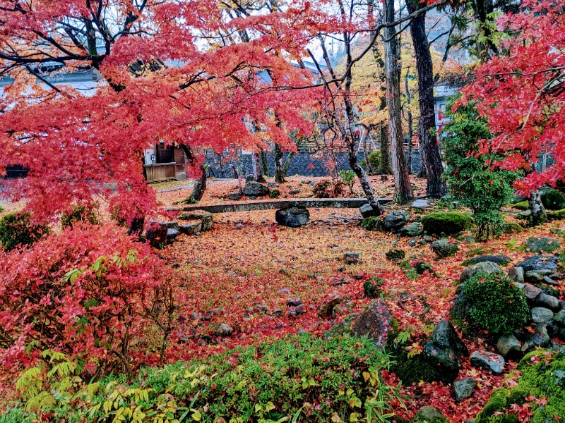 粗塩さんの泊まれる銭湯 鷹の湯のサ活写真