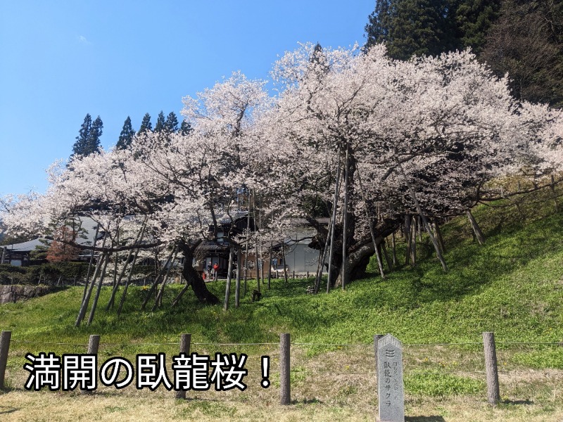 粗塩さんの泊まれる銭湯 鷹の湯のサ活写真