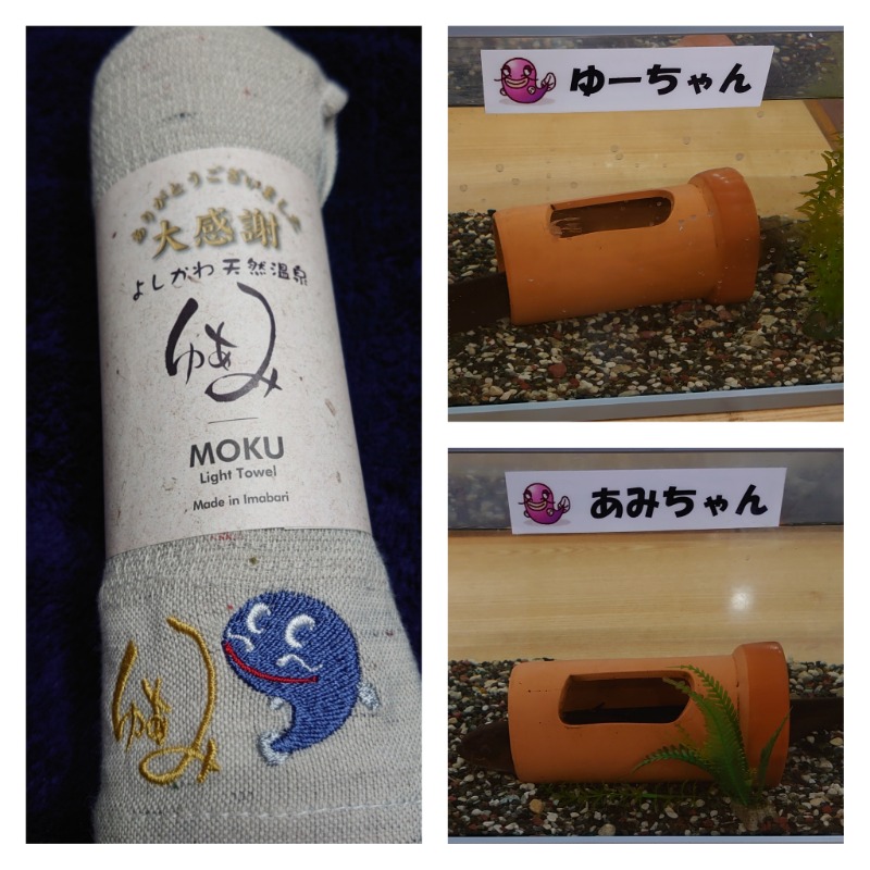 らいぴーたろさんのよしかわ天然温泉ゆあみのサ活写真