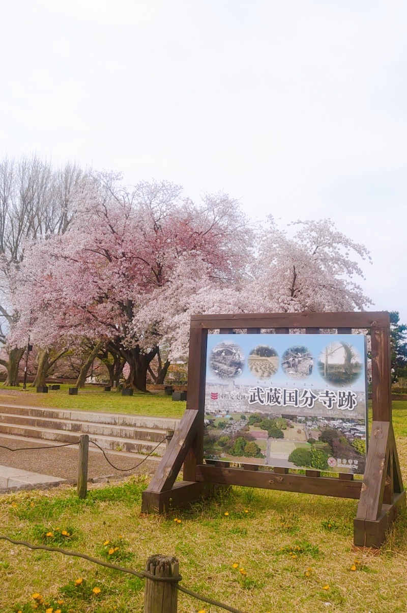 らいぴーたろさんのおふろの王様 多摩百草店のサ活写真