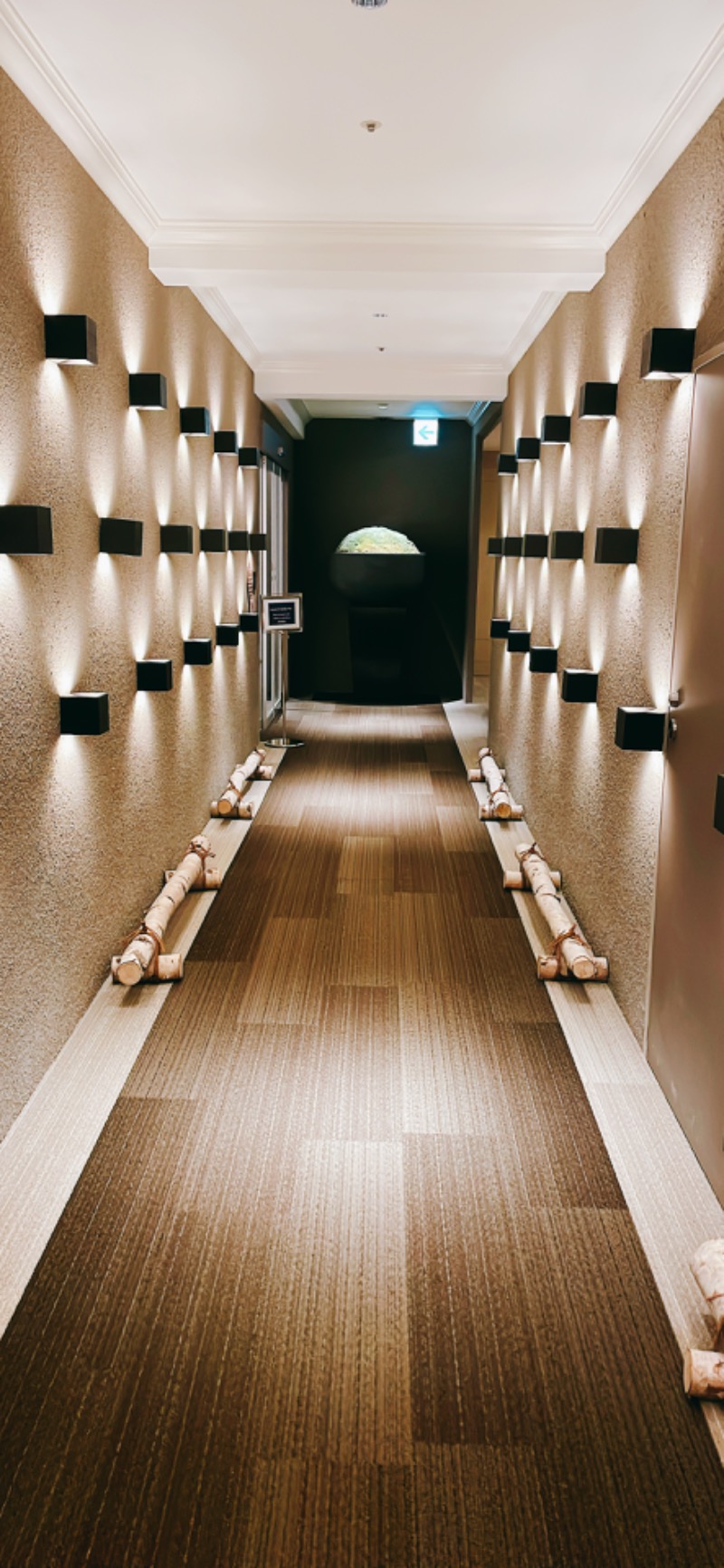 ちはるんさんのホテルマイステイズ プレミア札幌パーク パークサイドスパのサ活写真