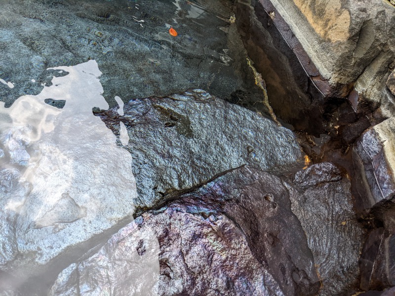 ノン子さんの霧島温泉 旅の湯(旧 野々湯温泉)のサ活写真