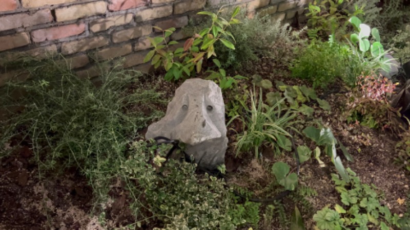 テソジソプーさんの神戸サウナ&スパのサ活写真