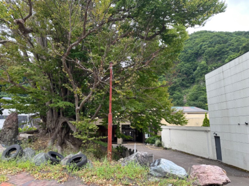 キミフサさんの小金湯温泉 湯元 小金湯のサ活写真