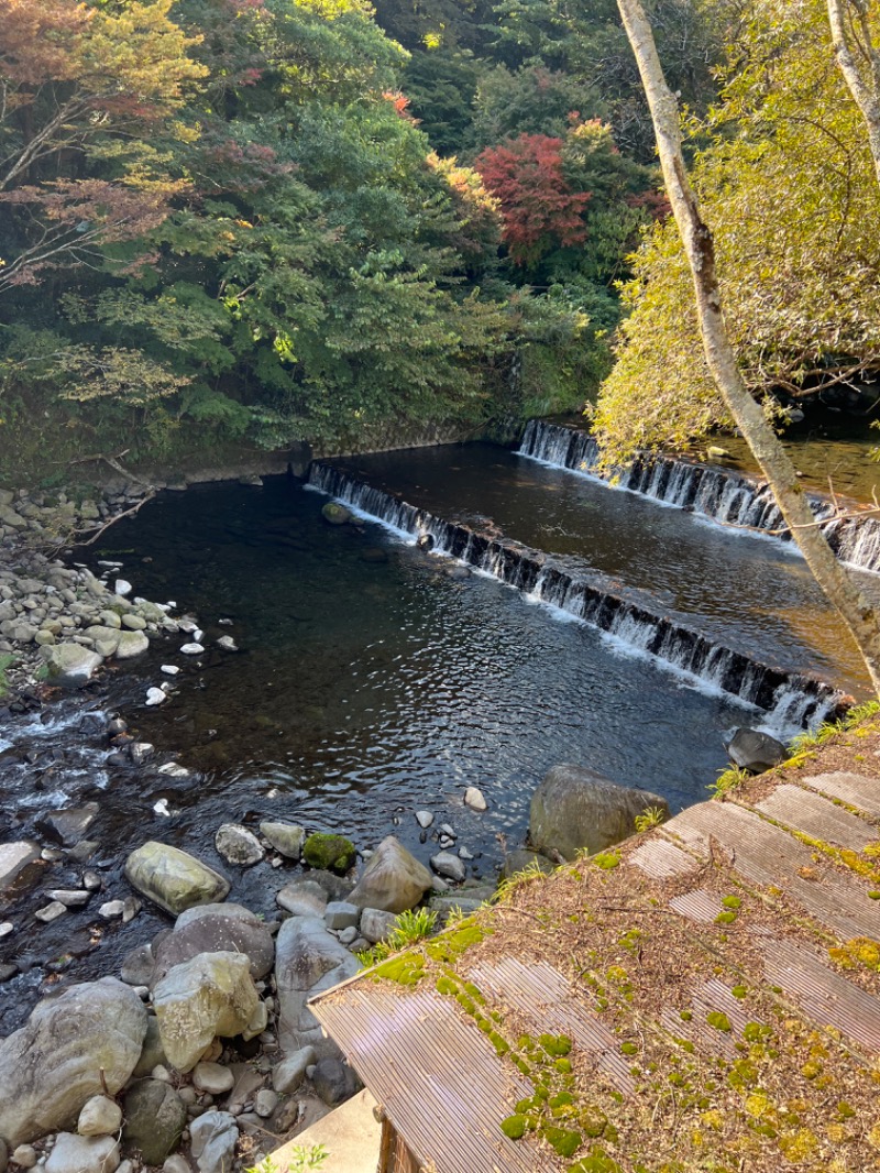 蒸きんぐさんの天山湯治郷 ひがな湯治 天山のサ活写真