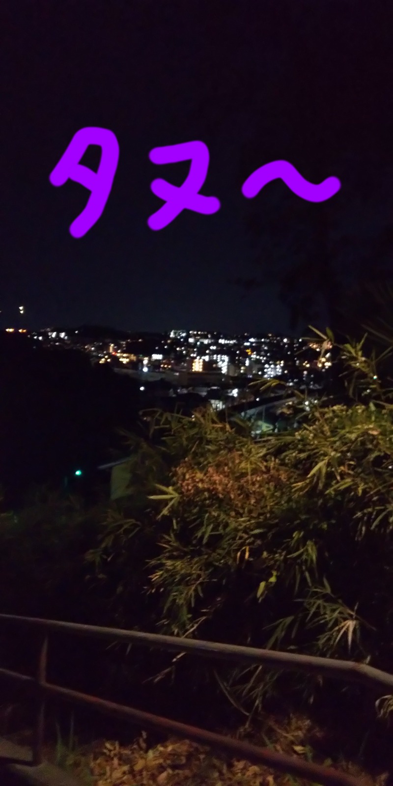 romeoさんの反町浴場のサ活写真