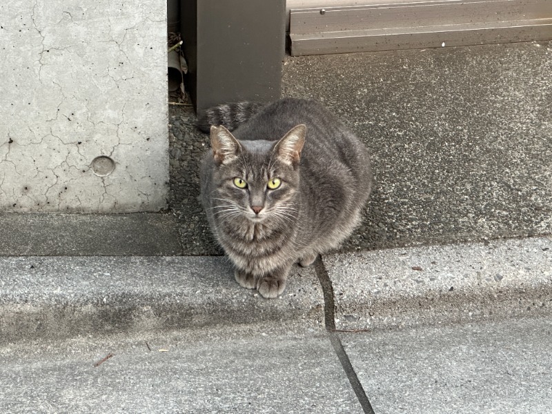 唐揚げの錬金術師さんの十條湯のサ活写真