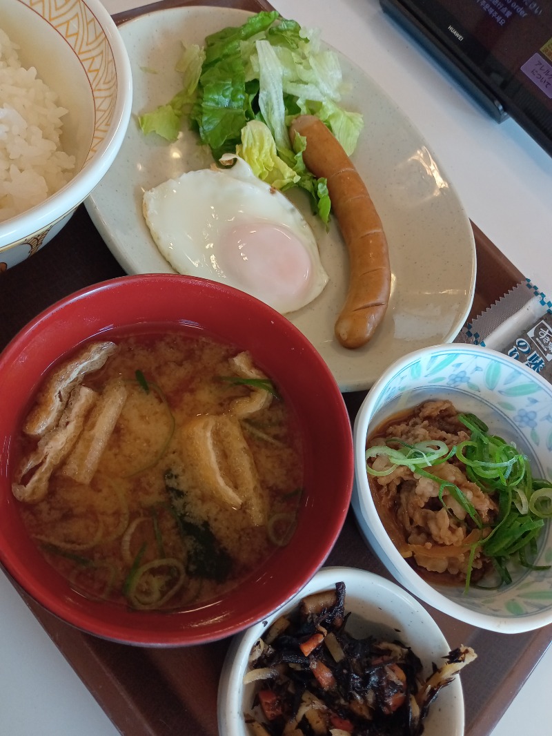 サ飯に夢中♪さんの天然温泉コロナの湯 中川店のサ活写真