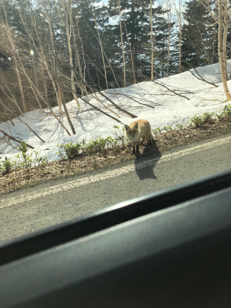 kkさんの吹上温泉保養センター 白銀荘のサ活写真