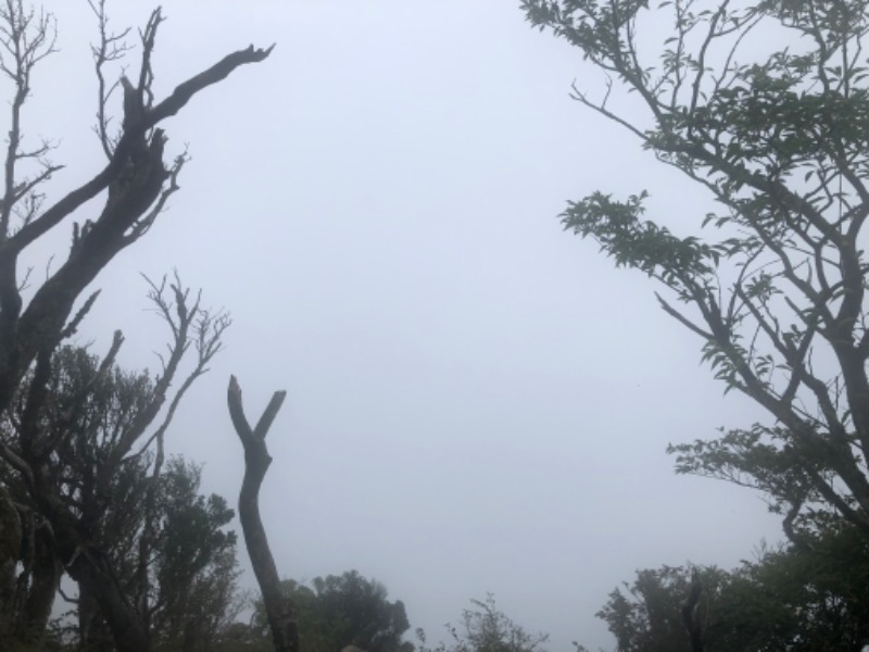 とりっぷぎたぁさんの湯～トピアかんなみのサ活写真