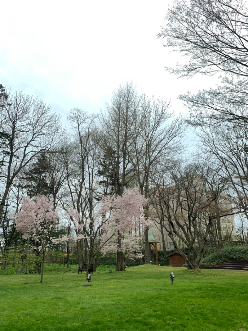 iisaunaさんの森のスパリゾート 北海道ホテルのサ活写真