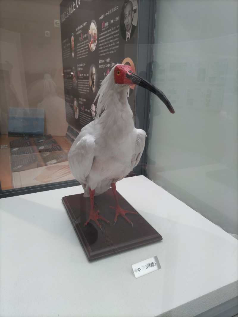 ペンギン酸さんの新穂潟上温泉のサ活写真