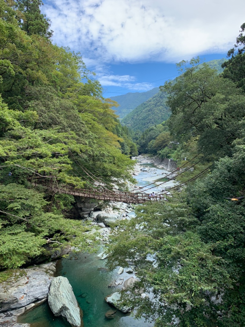 tsun//さんの新祖谷温泉 ホテルかずら橋のサ活写真