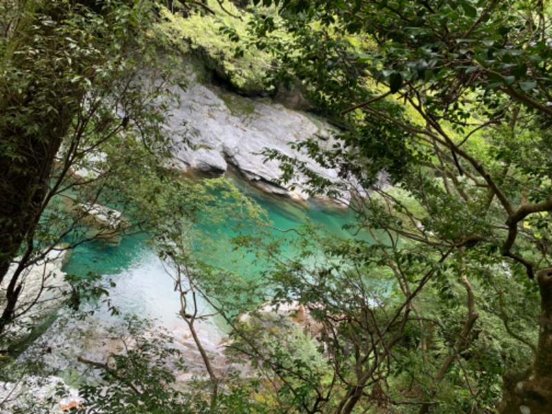 tsun//さんの新祖谷温泉 ホテルかずら橋のサ活写真