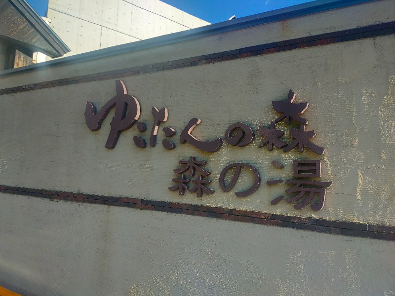 やぽ＠大文字SCさんの網張温泉 ありね山荘のサ活写真