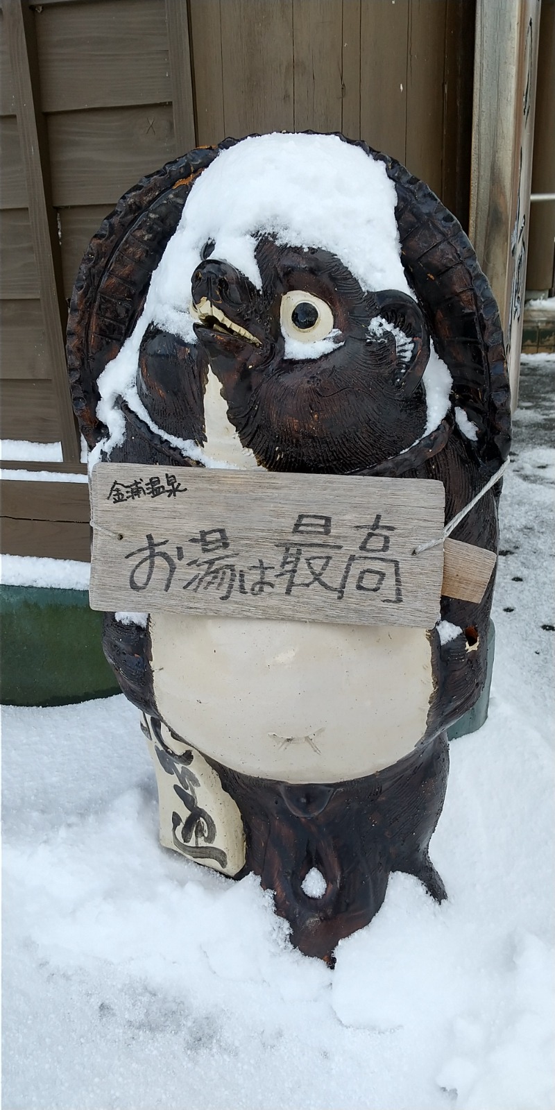 よめぞうさんの金浦温泉・学校の栖のサ活写真