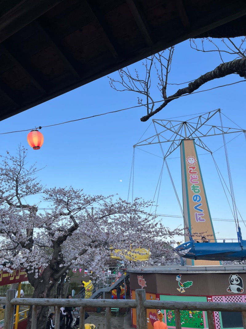 シン•毛穴バカさんの湯元 花の湯のサ活写真