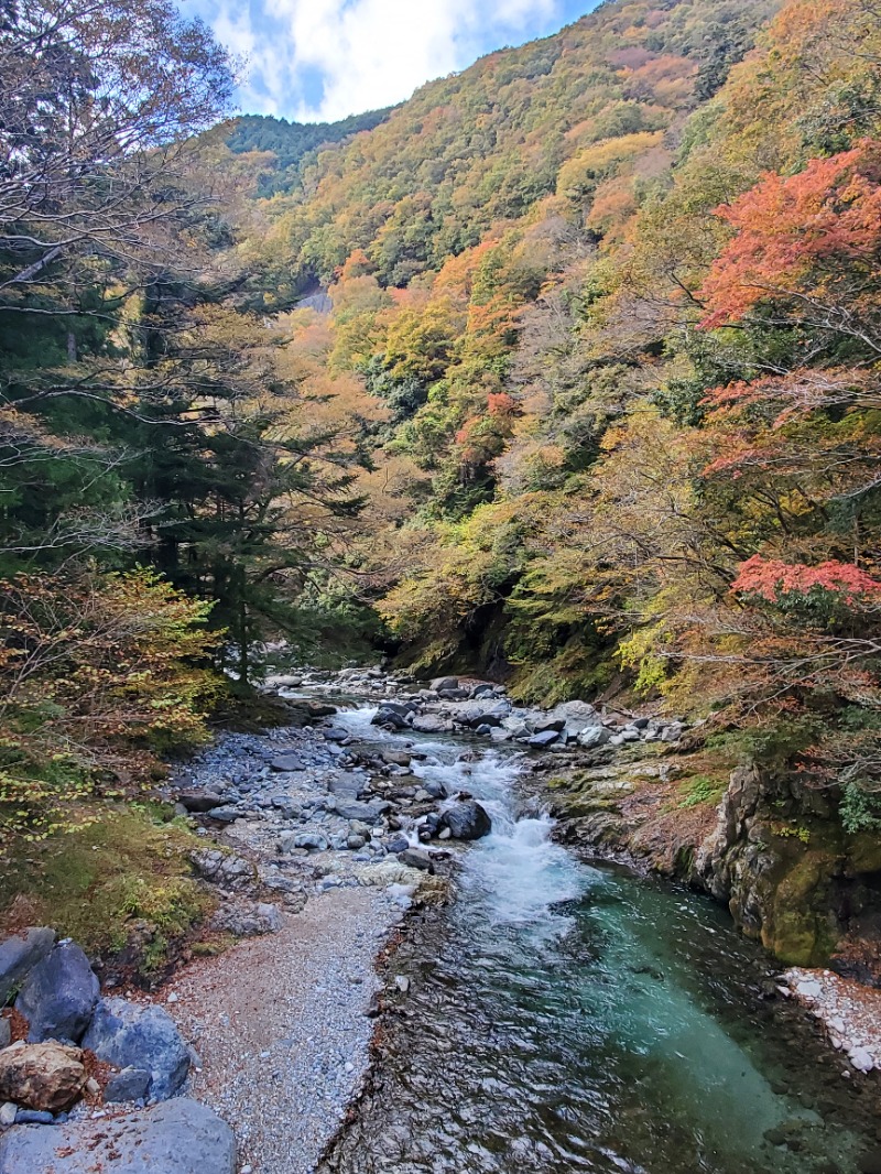 火の玉さんの道志川温泉紅椿の湯のサ活写真