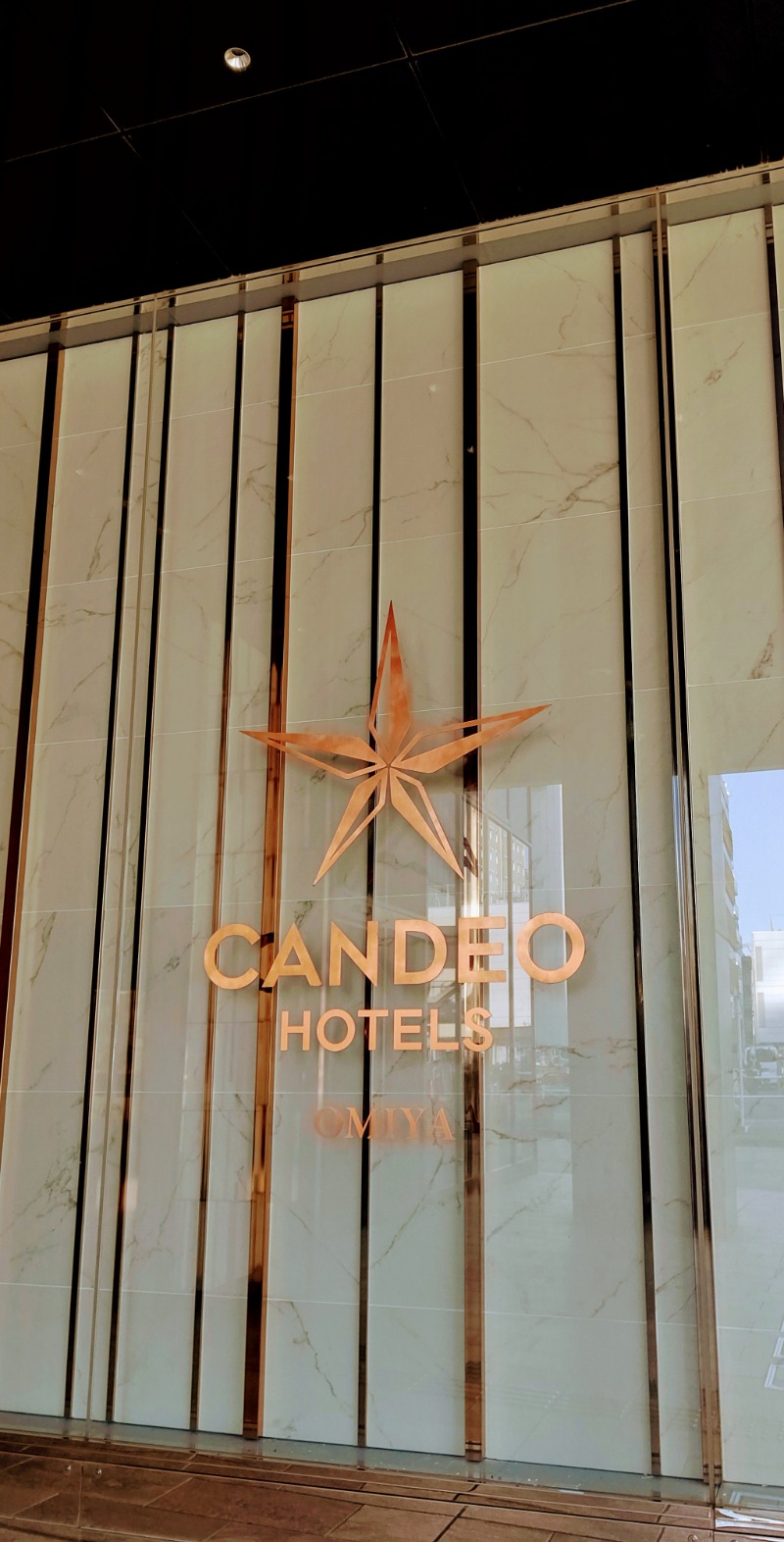 レイレイさんのカンデオホテルズ大宮のサ活写真