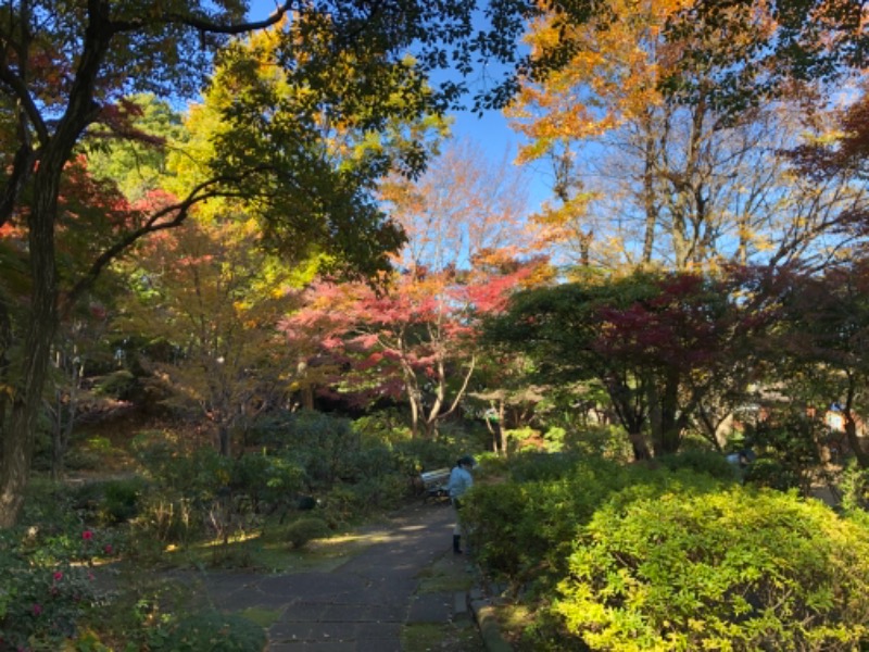 ロマンチスト1000年さんの豊島園 庭の湯のサ活写真