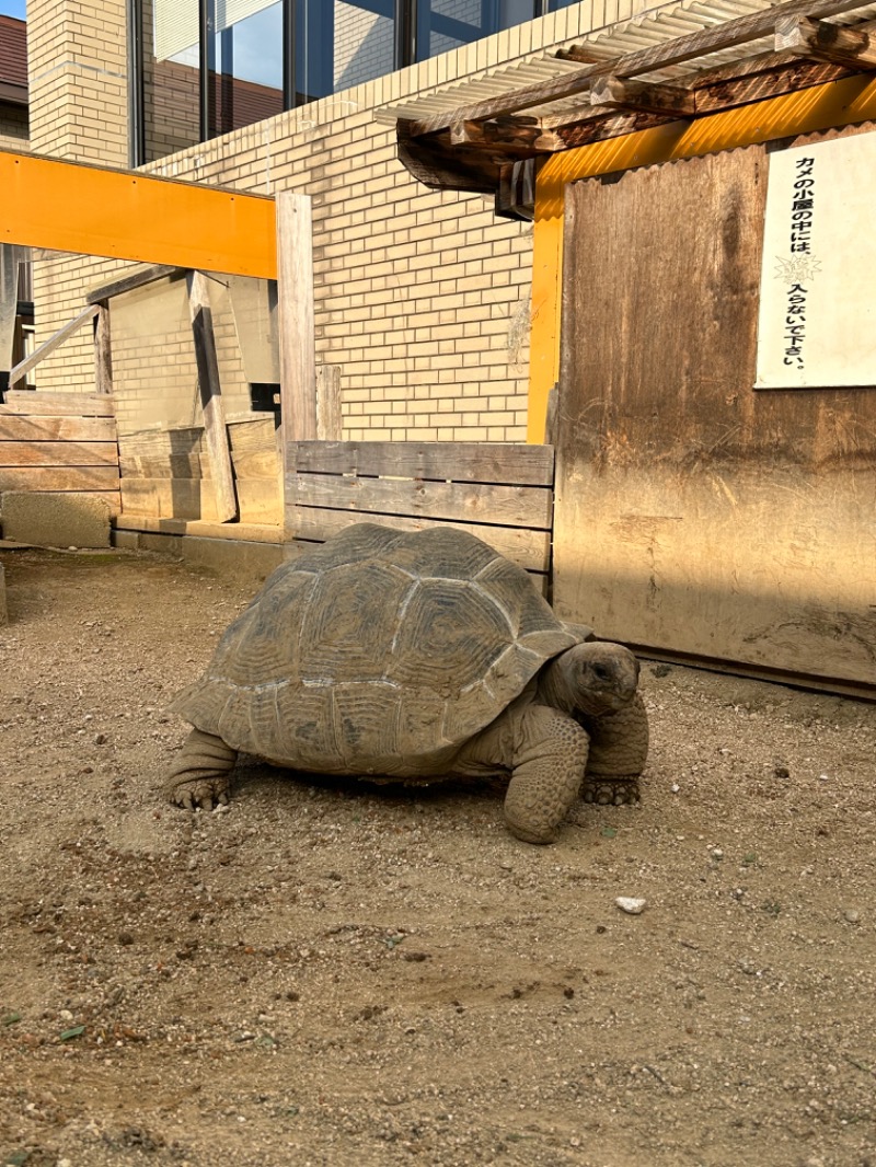 かめまるさんの湯免ふれあいセンターのサ活写真