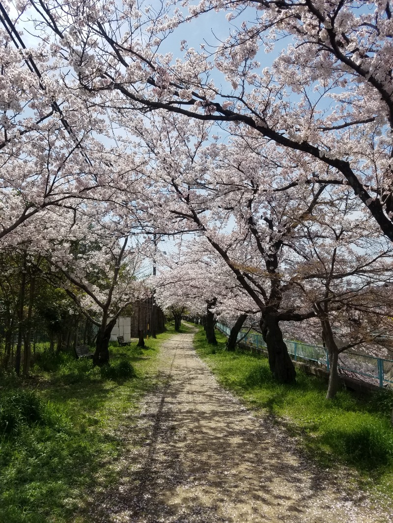 Takaさんの大垣サウナのサ活写真