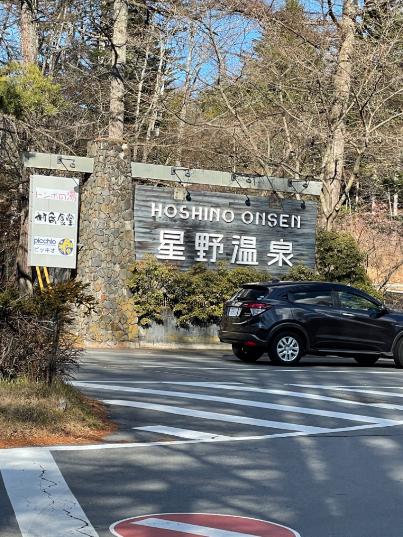 肉せいろそばさんの星野温泉 トンボの湯のサ活写真