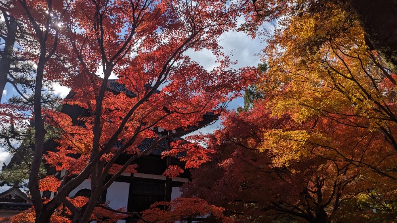 Hさんの天然温泉 蓮花の湯 御宿 野乃 京都七条のサ活写真