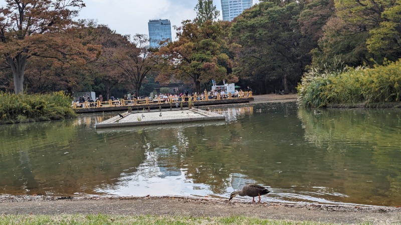 Hさんの渋谷SAUNASのサ活写真