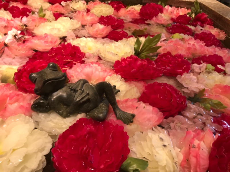 ぷりんさんの綱島源泉 湯けむりの庄のサ活写真