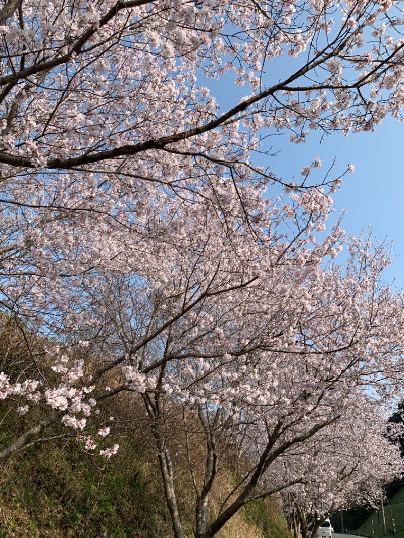 殿、ご乱心さんの筑紫野 天拝の郷のサ活写真