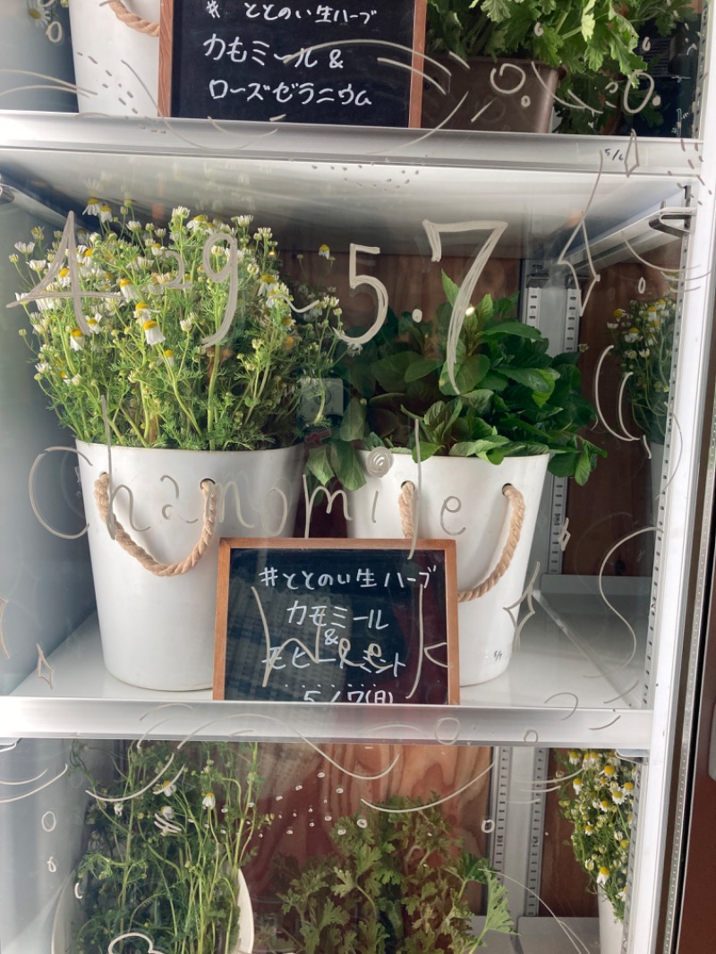 🌿よもぎすきすぎ🌿さんの各務原 恵みの湯のサ活写真