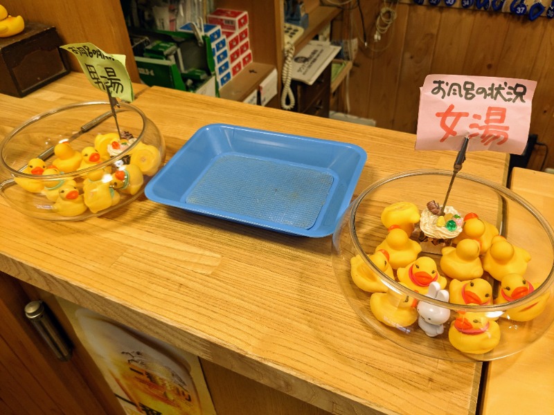 TZさんの泊まれる銭湯 鷹の湯のサ活写真