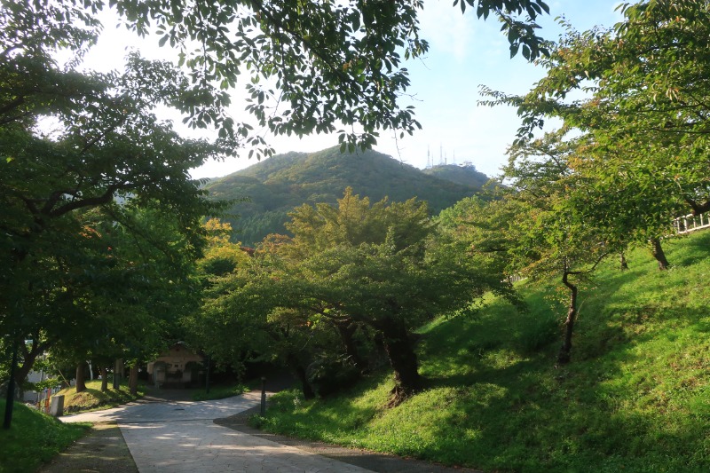 Mazo Itohさんの谷地頭温泉のサ活写真