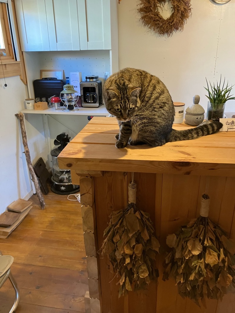 くまっく(若)さんのOUSE SAUNA TUULI(OUSE Camp&Sauna TUULI内)のサ活写真