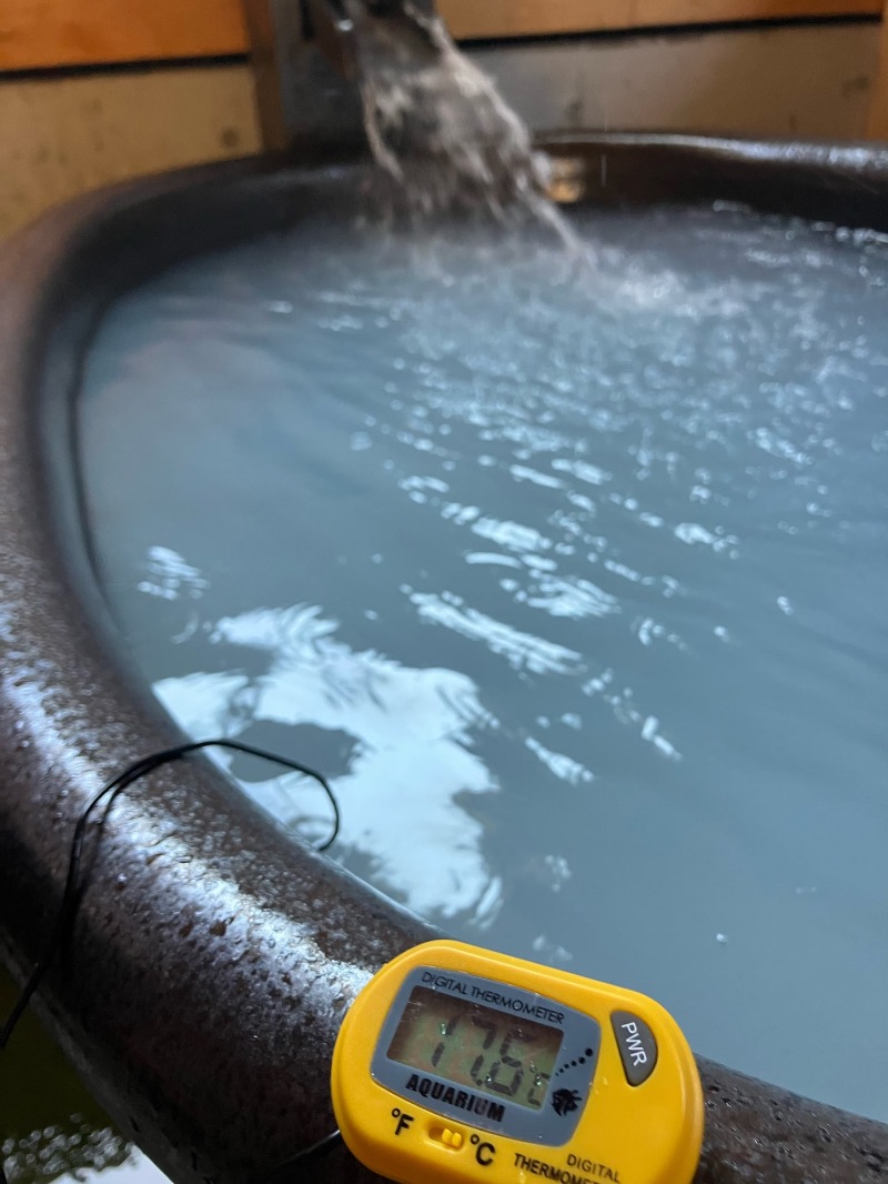 くまっく(若)さんのHARBORサウナのサ活写真