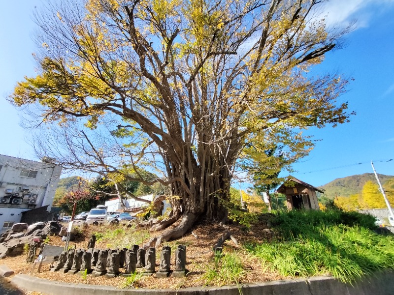 大盛りさんの小金湯温泉 湯元 小金湯のサ活写真