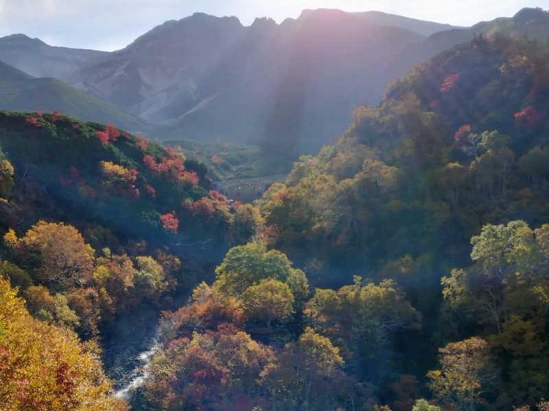 大盛りさんの十勝岳温泉 凌雲閣のサ活写真