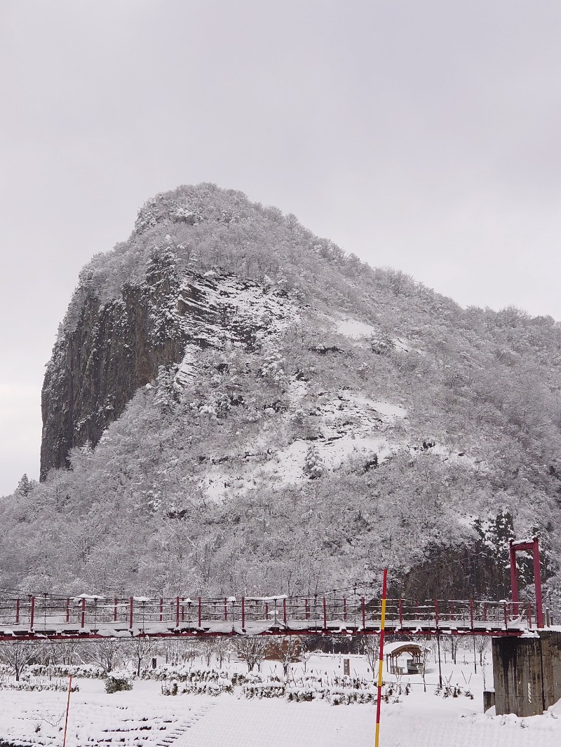 teririnさんのいい湯らていのサ活写真