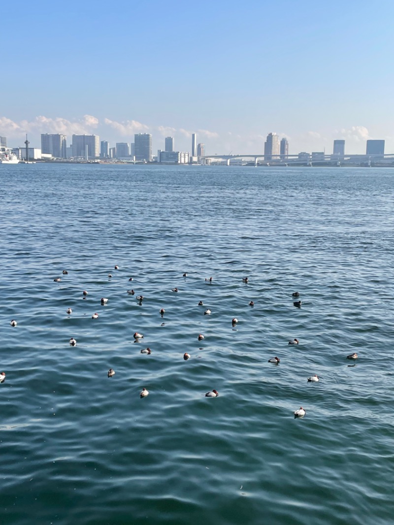 ウチダさんのアジュール竹芝 天空の湯のサ活写真