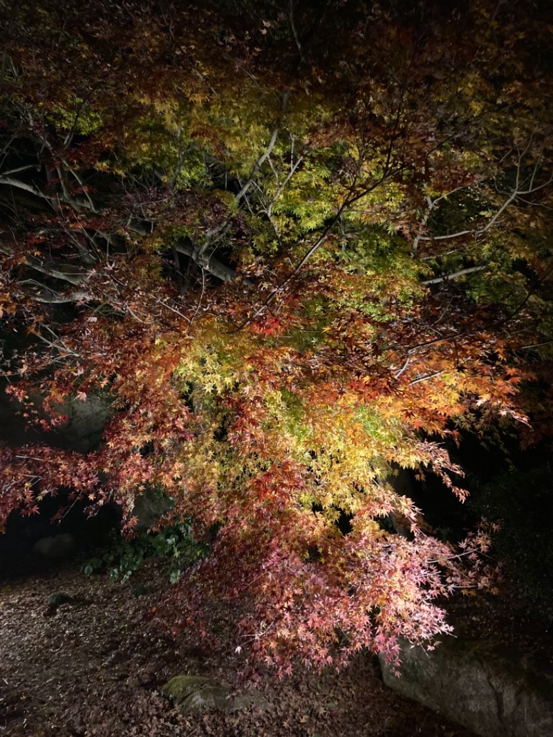 でこぽんさんの御船山楽園ホテル  らかんの湯のサ活写真