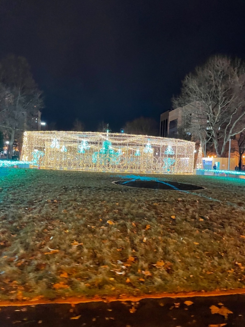 96さんの天然温泉ホテルリブマックスPREMIUM札幌大通公園のサ活写真