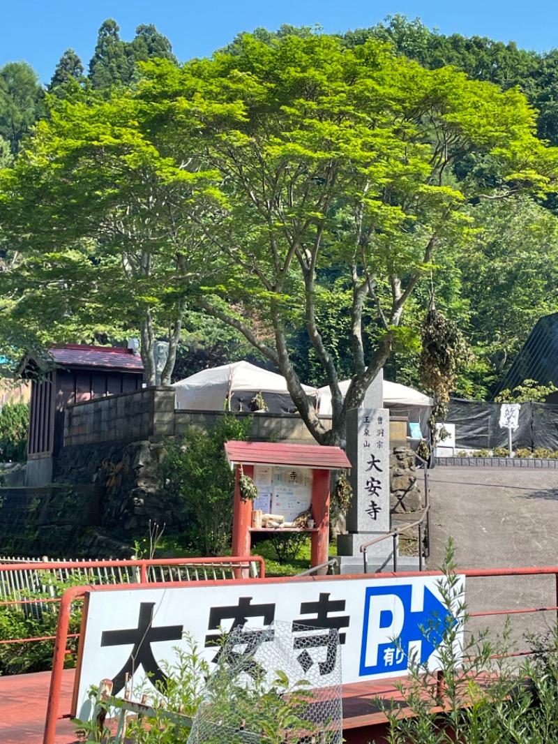 96さんの大安寺「大整寺サウナ」のサ活写真