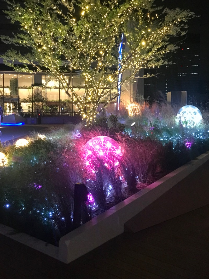 あず🇰🇷ハングル検定4級さんのラビスタ東京ベイのサ活写真