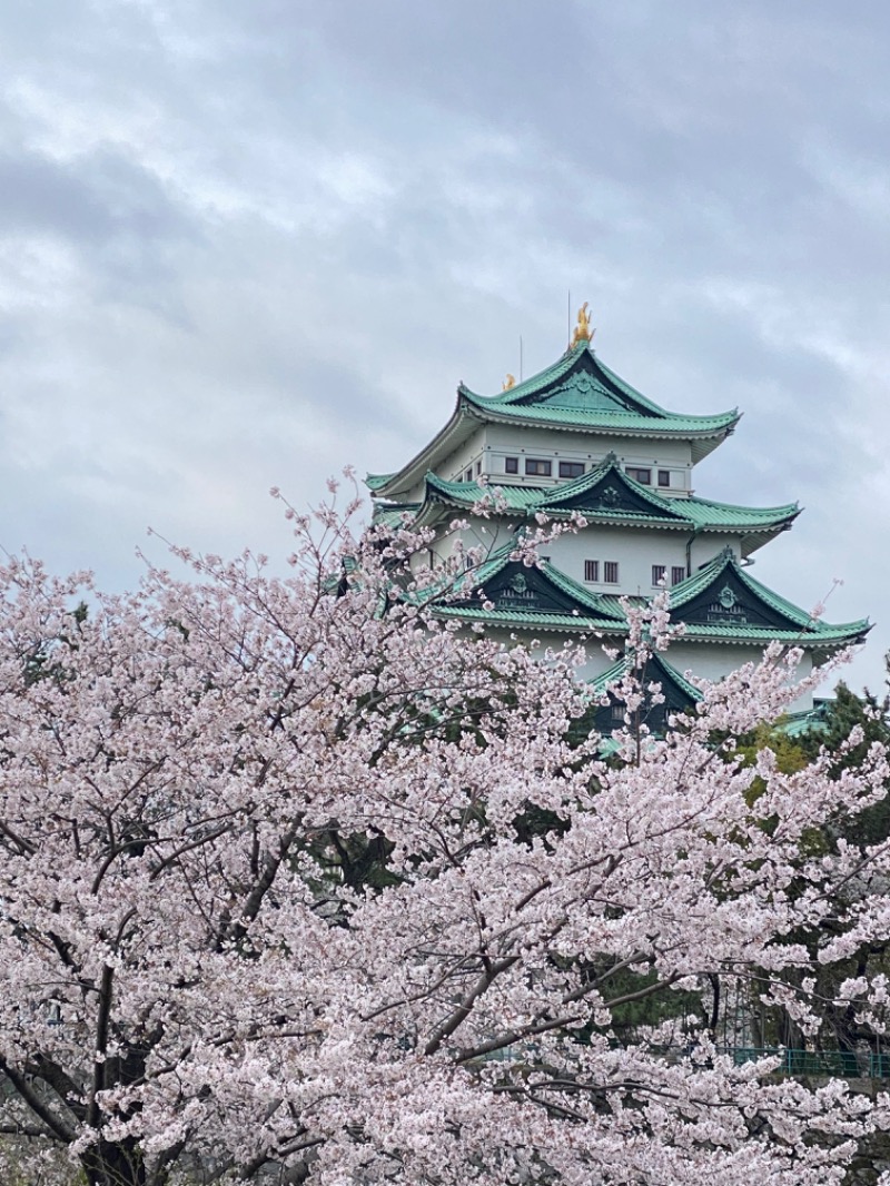 すー3さんの春日井温泉のサ活写真