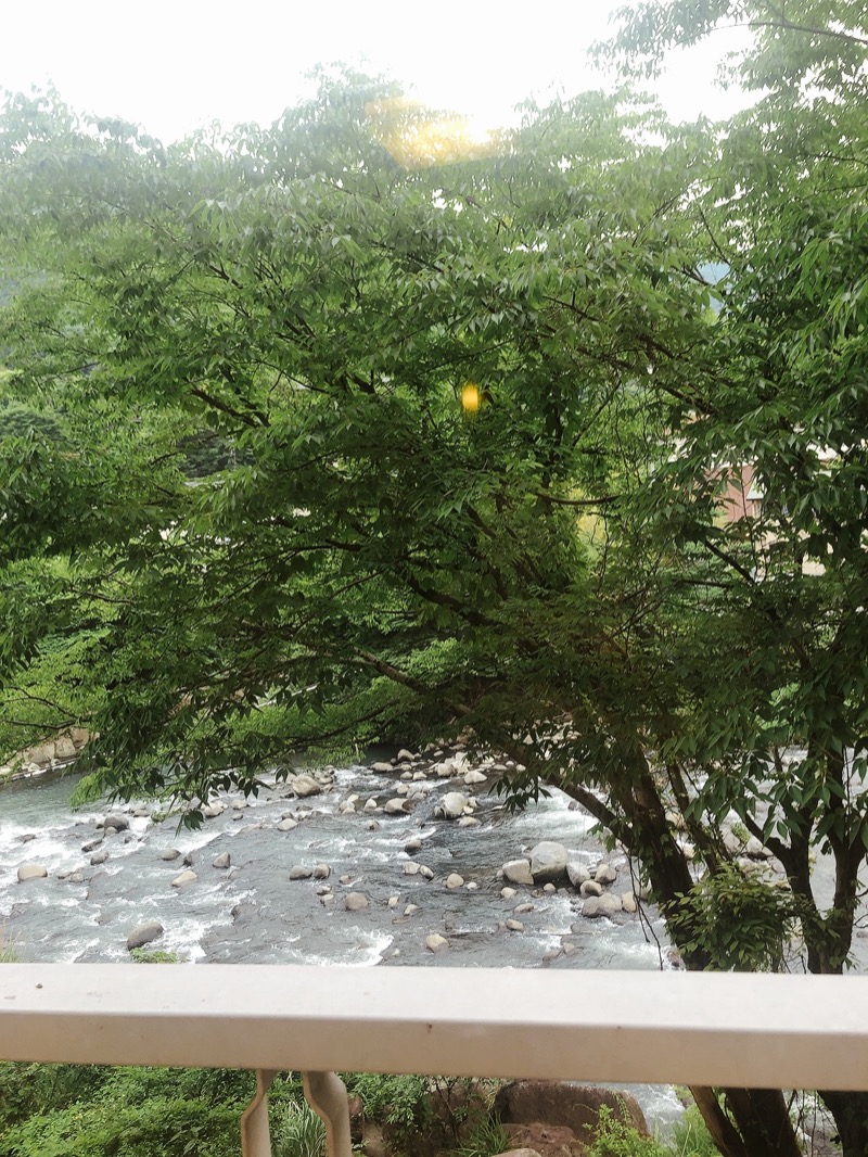 🍰さんの箱根湯本温泉ホテル河鹿荘のサ活写真